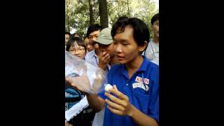Khai giảng KHTN khóa 2013 (bắn tên lửa) WP 20130909 014