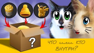 Новый Питомец В Семье! Кто В Коробке? 24 Часа Следим За Новеньким! Подписчики Выбирают Имя