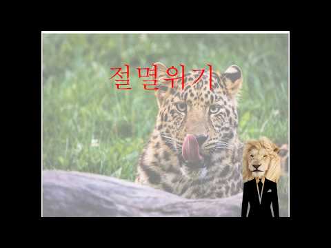 3.1절 특별 일제강점기(해수구제사업) 이야기 입니다.