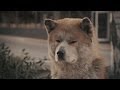 Вадик Плюс (П.Л.Ю.С.) - Самый верный друг