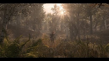 Skyrim SE Fantasy Forest Overhaul for 3D Trees Update 1.0a Gameplay 2019