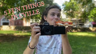 Top 5 Fun Things in Charlottesville #charlottesville #cvilleva #uva