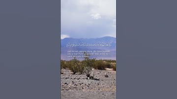 من الآية 44 إلى الآية 48 من #سورة_طه
