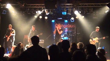 Orangebud - CD-presentatie - 7. Bonus Track: Someone in the End