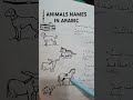 Madina Arabic Book | Animal names #arabic #arabiclanguage #aaoarabiseekhein #animals #animalname