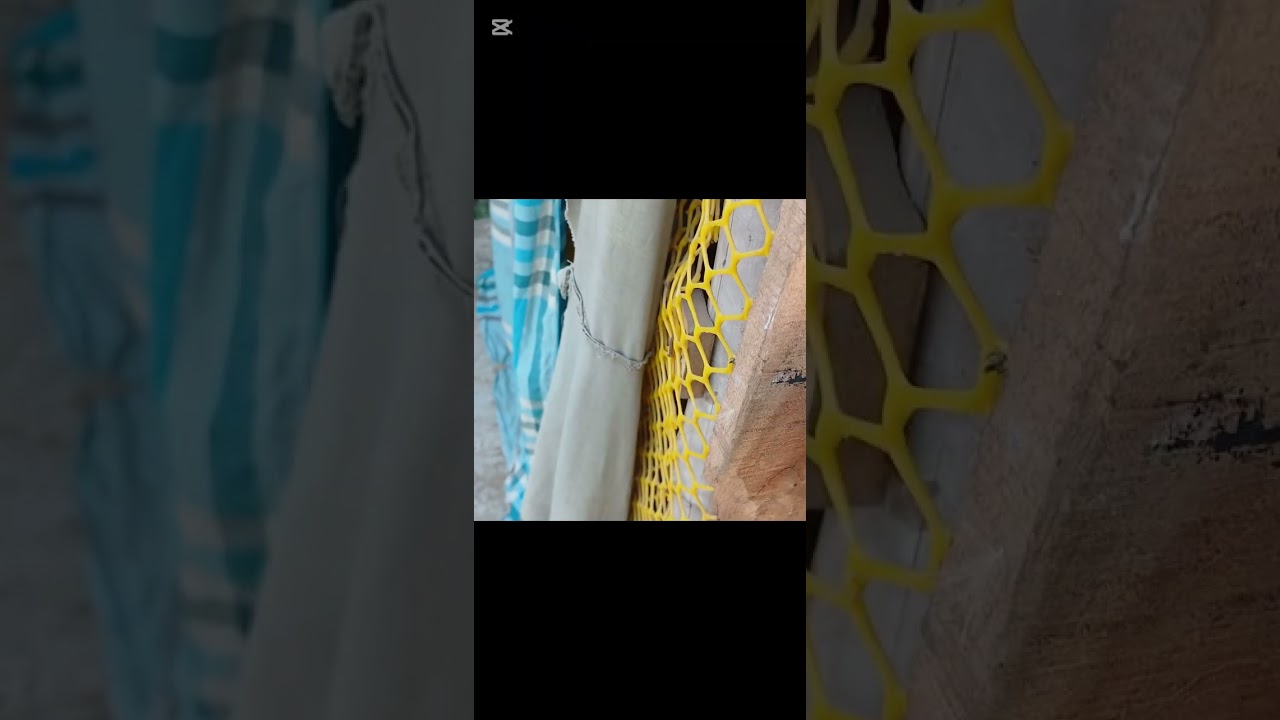 শুভ সকালের নতুন ব্লক  # কোয়েল পাখি  # মুরগি  # গাছগাছালি 🐔🐦🌱🌵