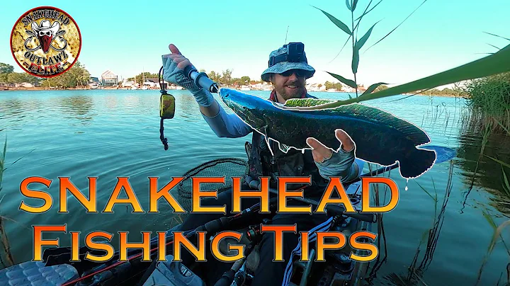 Snakehead Fishing Tips: Lures, Techniques, and More; "Westside" Maryland - DayDayNews