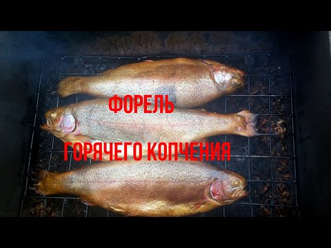Форель горячего копчения. Hot smoking of trout.