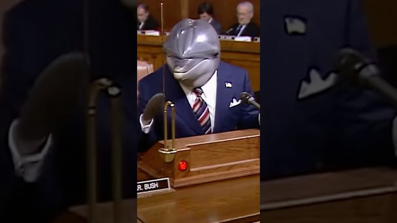 Dolphin, theramin, beats #funny #rap #humorviral #beats #dolphin #nature #theremin #music #viral