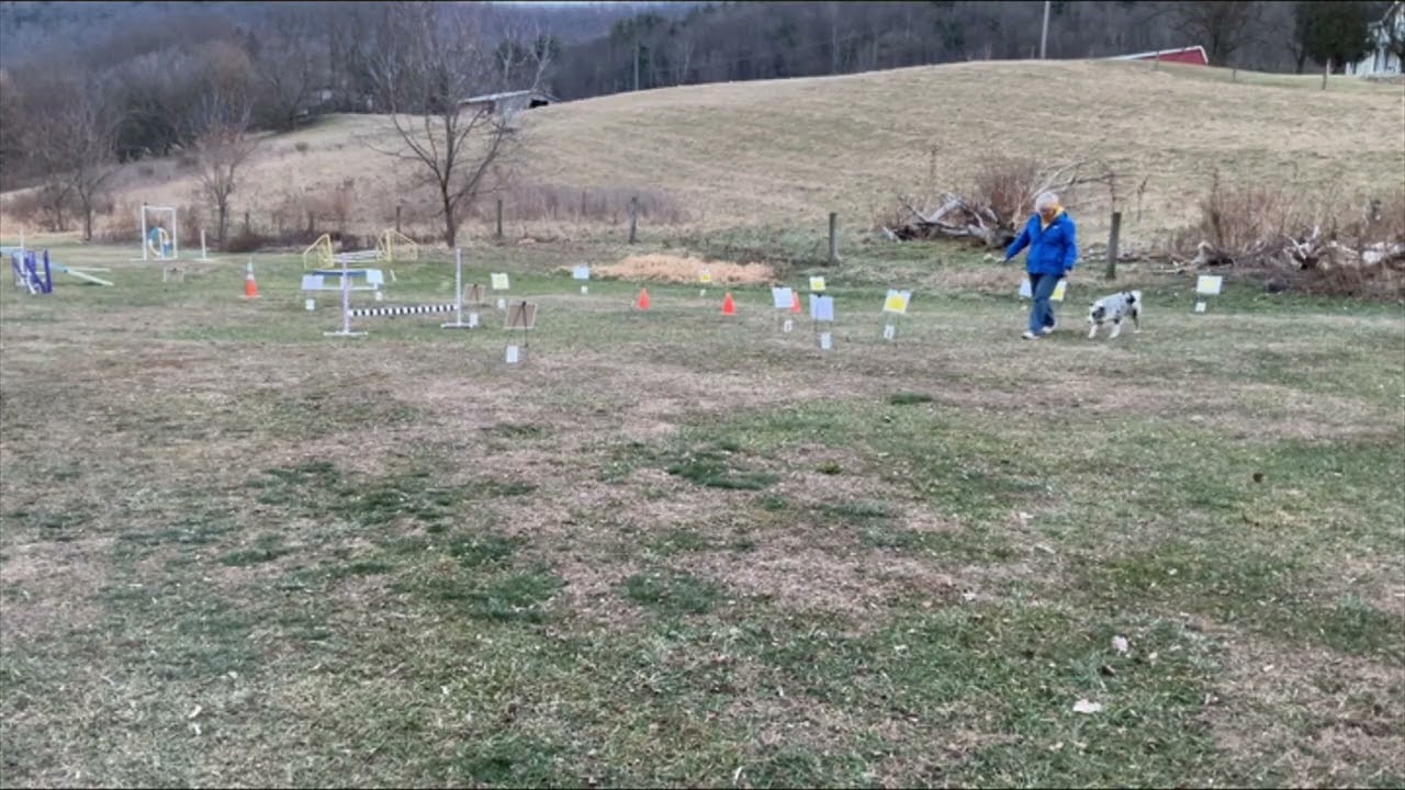 Laura and Mouse Virtual Advanced Rally Course 1