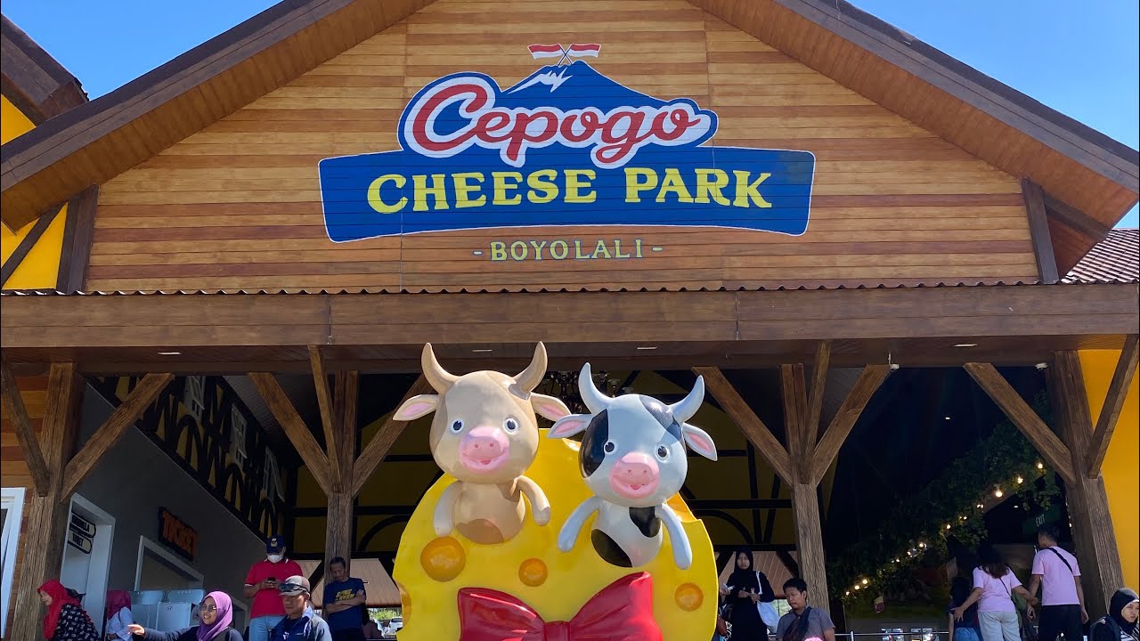 Cepogo Cheese Park So Many Cute Animal 🫶🫶🫶 YouTube