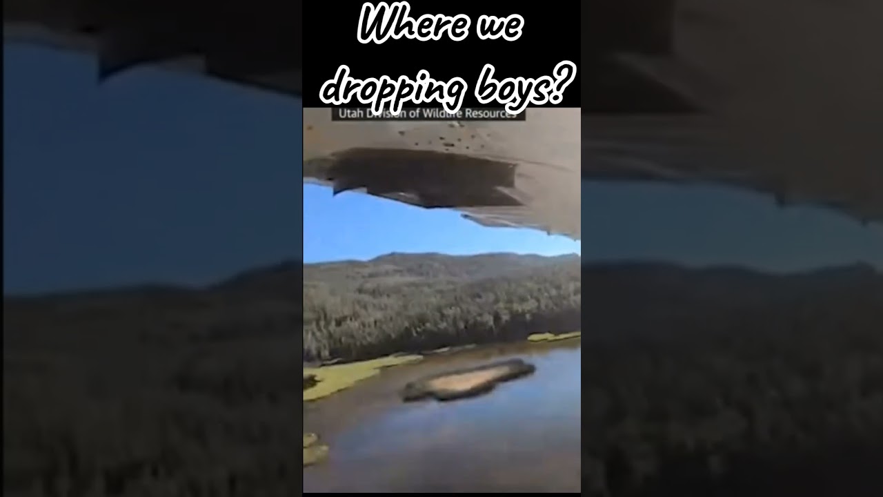 Where we dropping boys? 