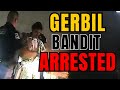 Man In Cheetah Pajamas Arrested with Gerbils in His Pants