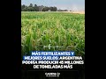 MÁS FERTILIZANTES Y MEJORES SUELOS: ASEGURAN QUE ARGENTINA PODRÍA PRODUCIR 45 MILLONES DE TONELADAS