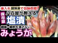 八百屋が教える【みょうが塩漬け】繊維・細胞を壊さないから旨さそのまま‼旨味たっぷり茗荷漬物レシピ‼甘酢よりシオです!夏の栄養‼下処理・下ごしらえ・作り方・食べ方アレンジ・一番人気・保存・漬け方