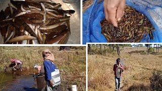 Tongdohthlinet Fishing