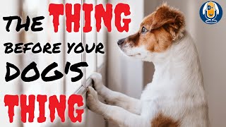 The Thing Before Your Dog's Thing #16