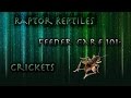 RAPTOR REPTILES:  FEEDER CARE 101 - CRICKETS