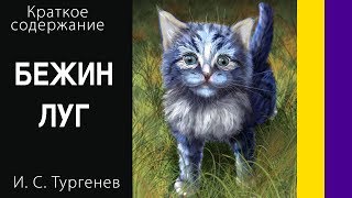 Краткое содержание Бежин луг. Тургенев И. С. Пересказ рассказа за 4 минуты