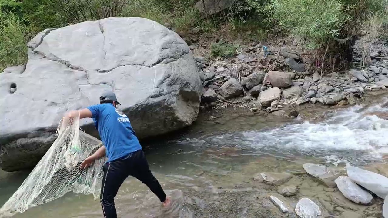 #Howtocatchtroutfishwithnetcast#fishingadventures#Netfishing#fishcatchingbyruralarea#Howtothrownet#