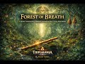 Forest of Breath — 1 Hour Immersive Bansuri Sound Journey | Deep Relaxation