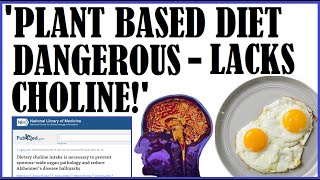 Not Again? Plant Based Diet Dangerous- Lacks Choline
