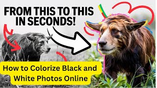 Colorize Photos Instantly - It's Easier Than You Think screenshot 4