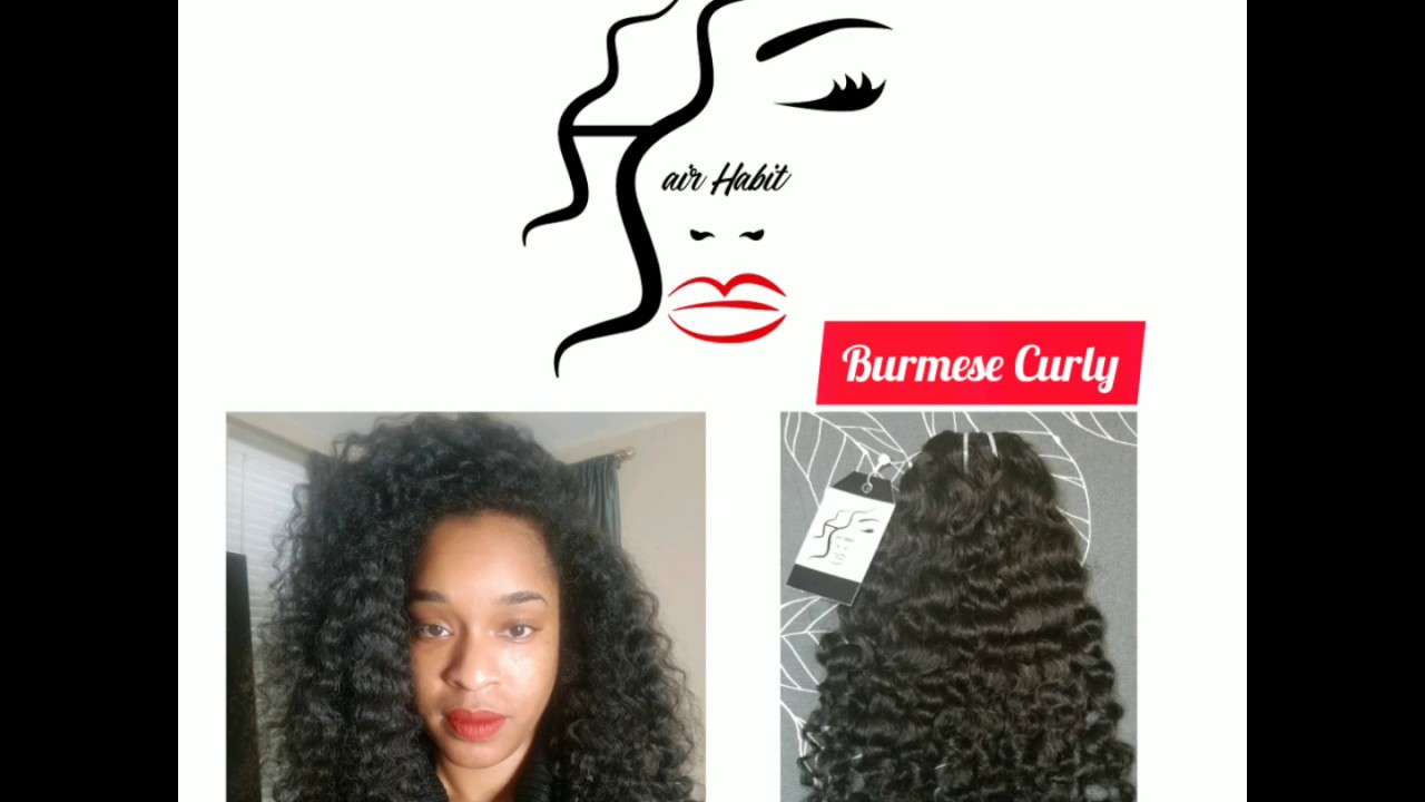 Hair care guide for Burmese Curly | Hairhabit.net