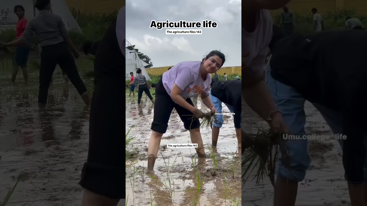 Agriculture Student Life 😅 