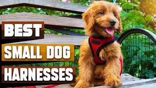 Best Small Dog Harnesses In 2024  Top 10 Small Dog Harnesses Review