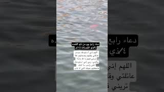 حالات واتس اب ٤ ذي القعده ! صباح الأربعاء #ادعية_يومية #shorts  #أجمل دعاء شهر ذي القعده2023