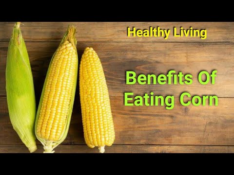 10 Health Benefits of Eating Corn I Corn Nutrition facts I Health And Nutrition