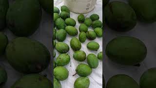 Authentic Avakaya Loading 😍🥭 | Full Video Tomorrow 5 PM #ytshorts #pickle #mango #summer #viral