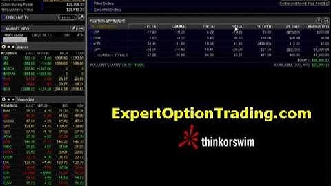 Option Trading Education - The Greeks Video 4 Part 4