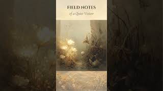 Field Notes #008 — Fear of Being Seen