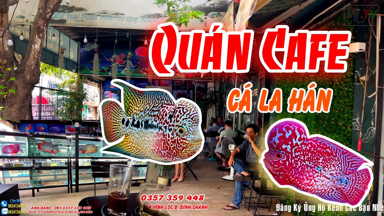 Tham Quan Quán Cafe Cá La Hán Khu Vực Bình Tân ,Bình Chánh