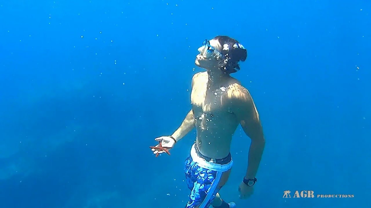 FREEDIVING YouTube