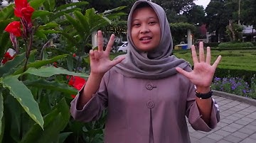 Dasar Pemrograman Untuk SMK