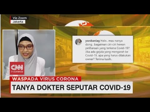 Video: Tips Keamanan Hewan Peliharaan Untuk Keadaan Darurat