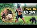 СТРОИМ ВОЛЬЕР ДЛЯ БУЛЛИ И ПИТБУЛЯ