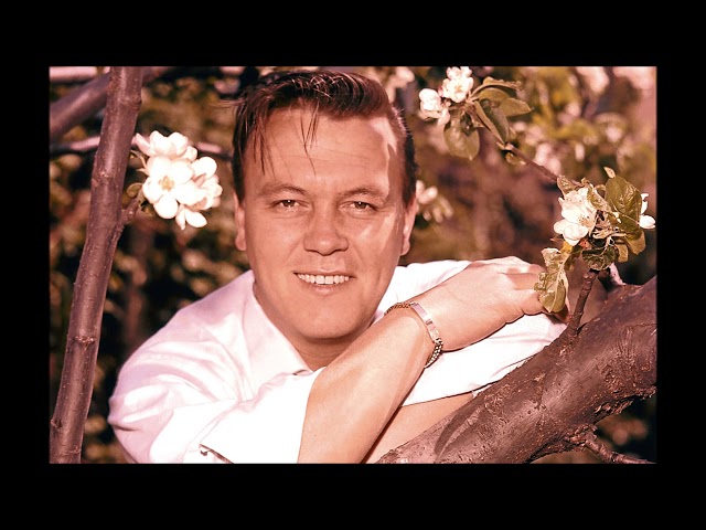 MATT MONRO - THE LADY SMILES