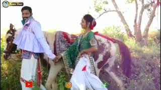 ladlo ghoda pavane jay//best gujarati status//