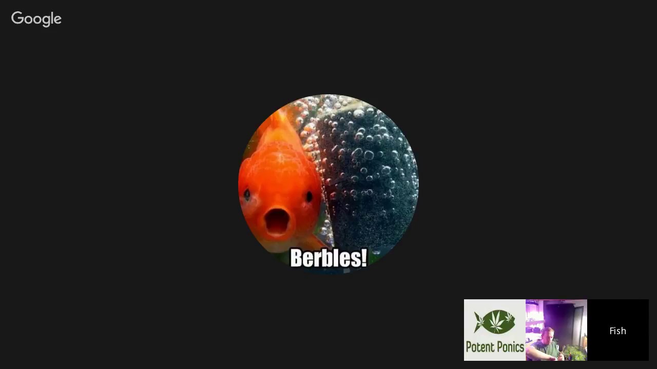 Growing With Fishes Podcast Episode 34