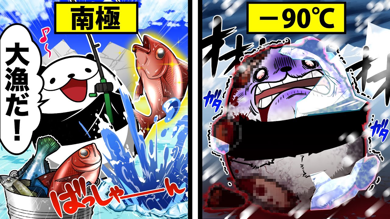 【地獄】南極で1週間過ごすとどうなるのか？【アニメ】