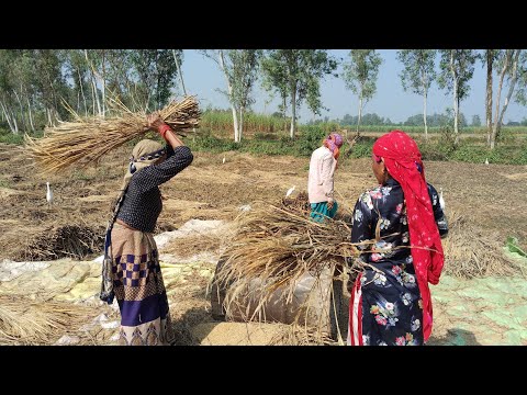 Aaj ka new ब्लॉग #minivlog #youtubevideo #tranding #vlog #