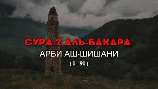 Арби аш-Шишани. Сура 2 Аль-Бакара (1-91)