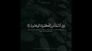 ﴿وَفي أَنفُسِكُم أَفَلا تُبصِرونَ﴾ /القارئ عبدالله الموسى "حفظه الله "💚