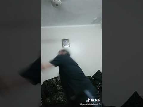 النينجا جدو لو خايف روح نام خلص الامر وطير ياحمام سامر المدني