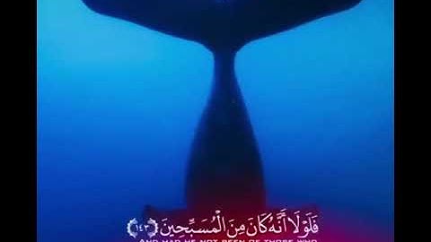 أمير شميم سورة الصافات || Ameer Shamim  Surah Al-Saffat