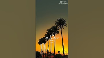 احترم القرآن الكريم ربع دقيقة و اكتب يارب